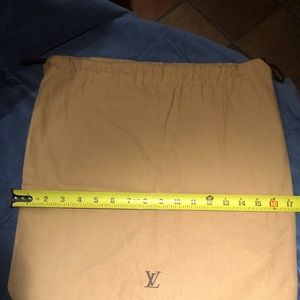 LV original owner Louis Vuitton jumbo dust cover